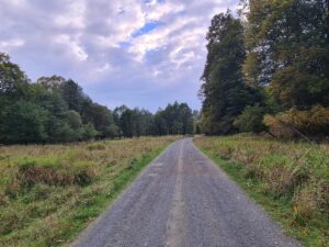 TJPeE-FqMNGjbAjj5qFhrUg_5vPXN7VBMCqKMAIqpQI-2048x1536