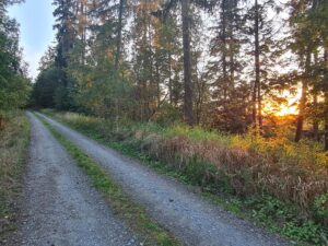 Wpll3MFQd_YyB97r5tAcL7E9mPtZdK0CE55VuxYsCFk-2048x1536