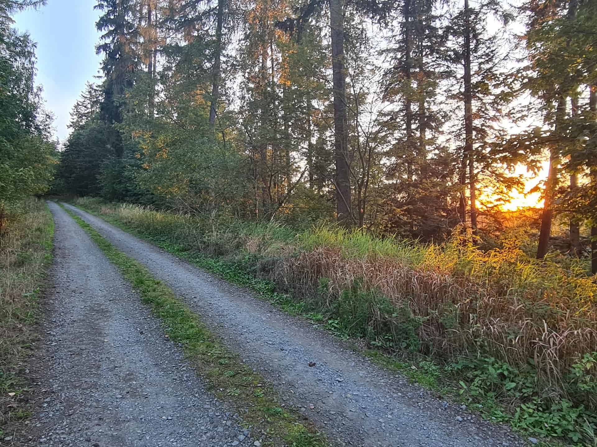 Wpll3MFQd_YyB97r5tAcL7E9mPtZdK0CE55VuxYsCFk-2048x1536