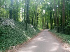 XoyvhhlgGW3DZTdW2mF86lK3_d60XRUbCfuO7xNHvg8-2048x1536