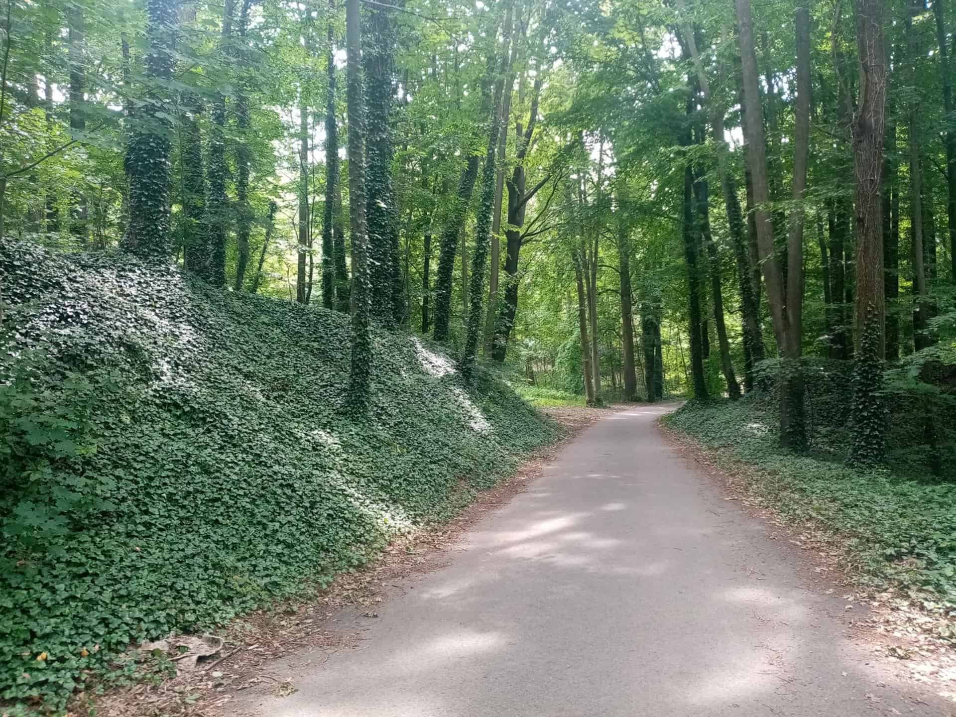 XoyvhhlgGW3DZTdW2mF86lK3_d60XRUbCfuO7xNHvg8-2048x1536