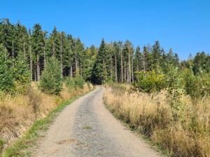 a1mETh9_XgyNnK3aDme3NPPdkHnl2CFWc7caECCGeTo-2048x1536