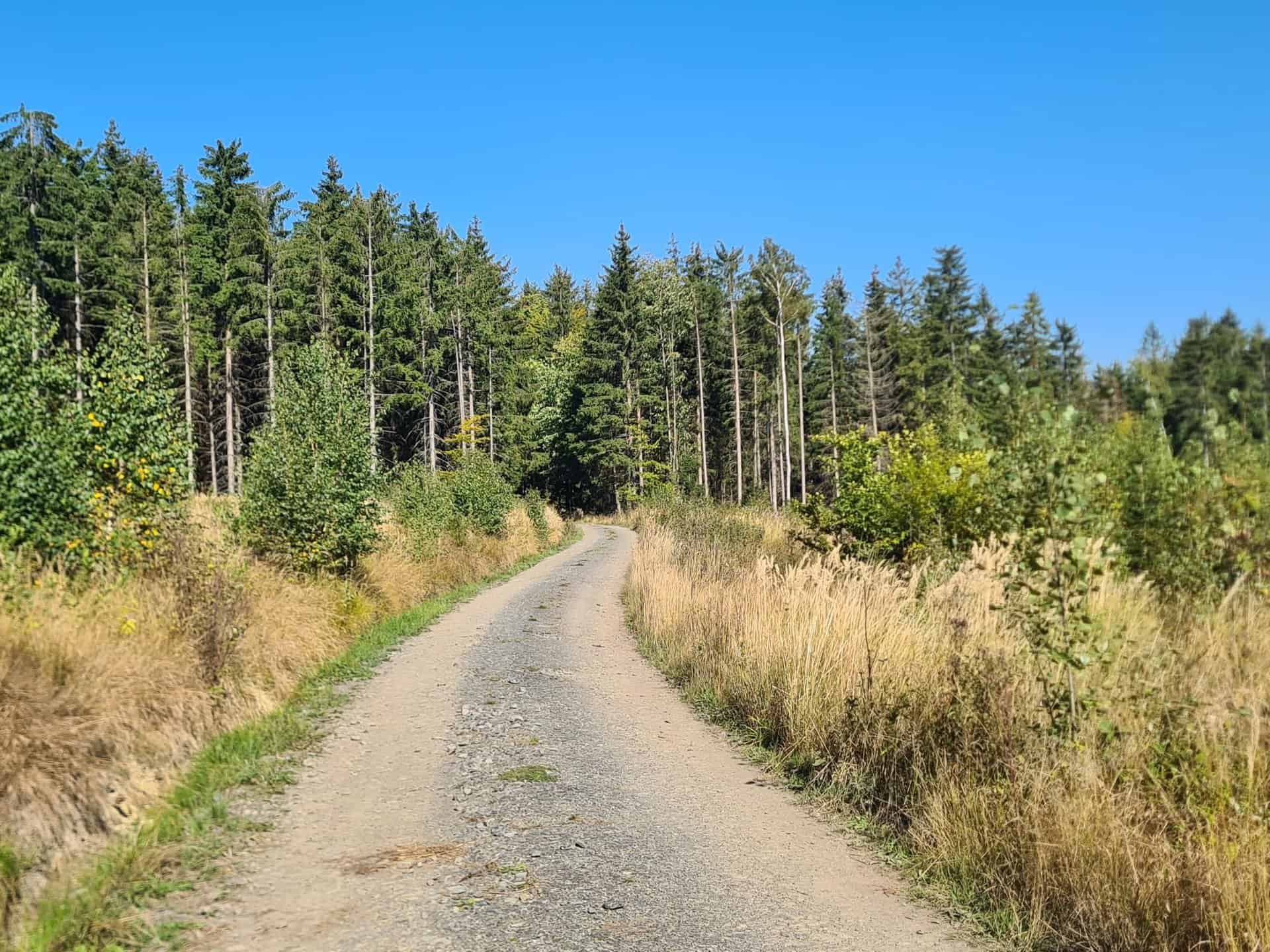 a1mETh9_XgyNnK3aDme3NPPdkHnl2CFWc7caECCGeTo-2048x1536