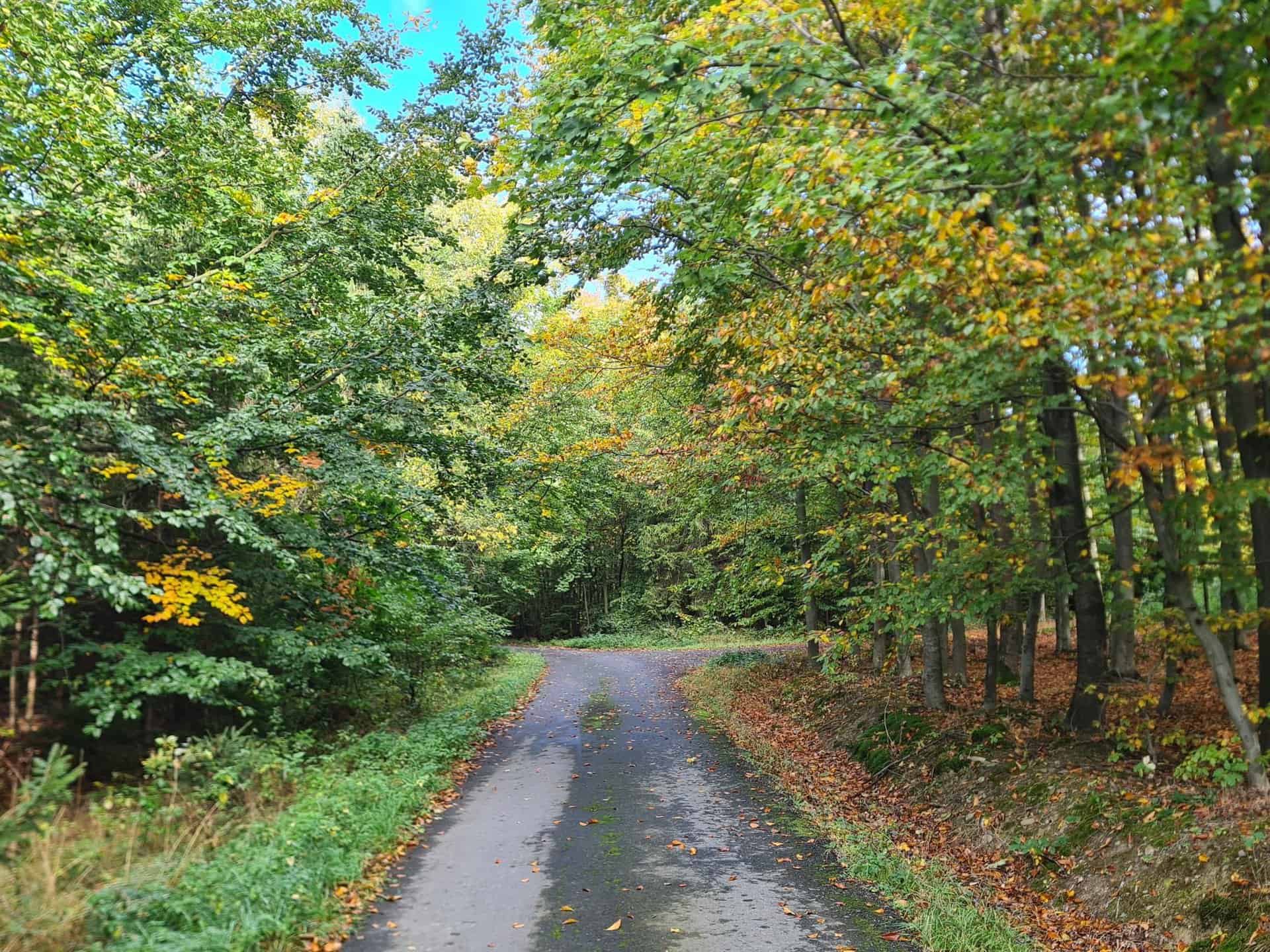 -bRMBLn-iqKW5abgdpNG0FA0jJUhRLU1D8wNyMygriM-2048x1536