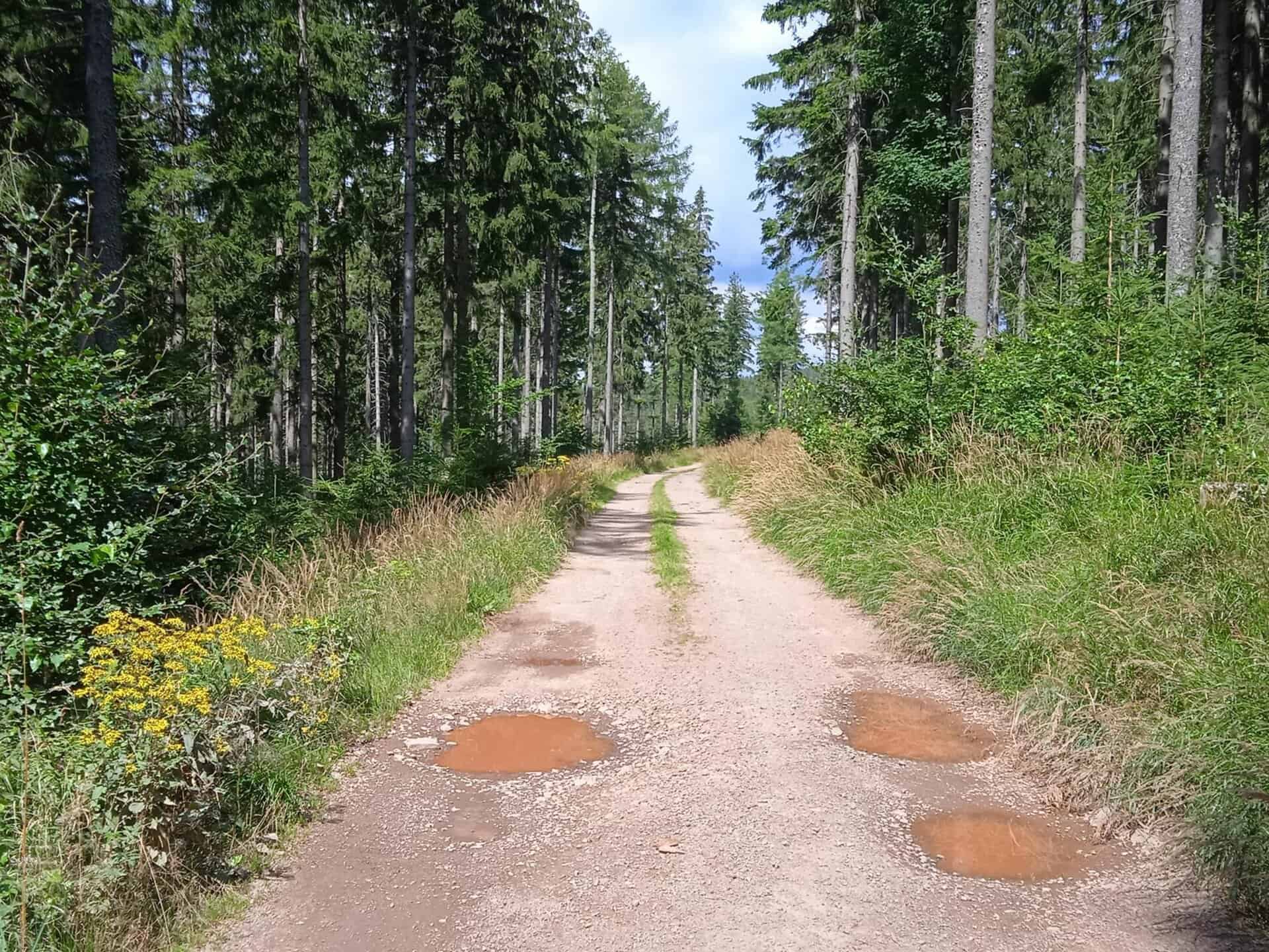 červená nad klepáčem