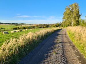 hwc8Udtn1fAADVzaB4D8K_OcCqZj2EtvoEflXnF-XB4-2048x1536