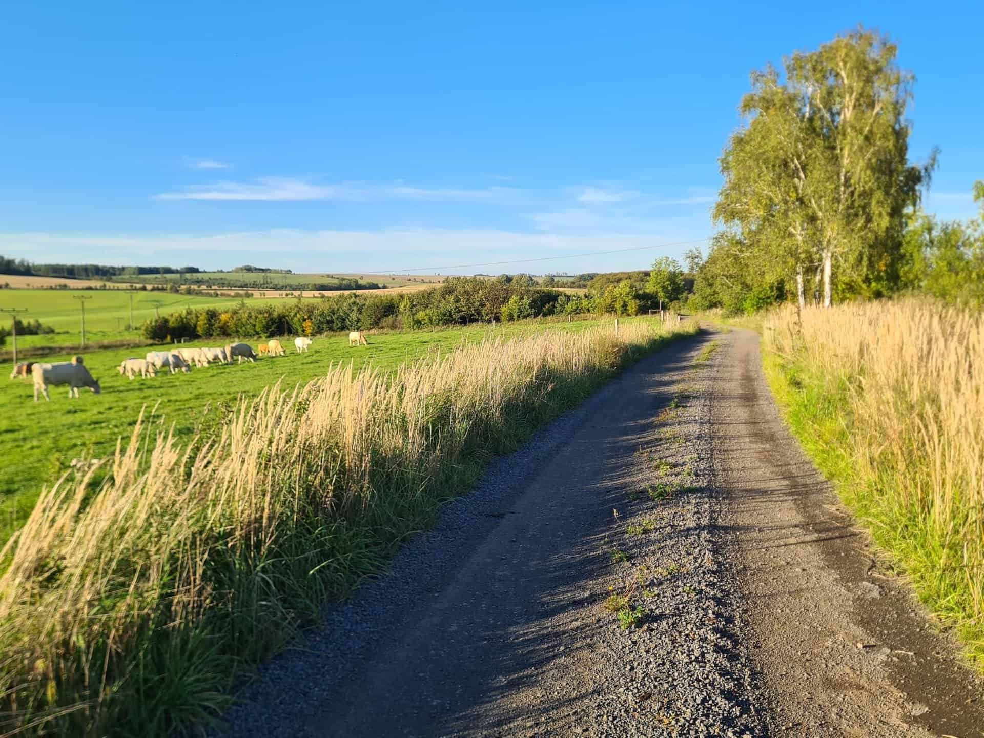 hwc8Udtn1fAADVzaB4D8K_OcCqZj2EtvoEflXnF-XB4-2048x1536