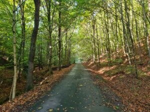 jzWnZZLvM1K8M-kvhIhiF8-LXNC6qTkKsfNVIwcSZ40-2048x1536