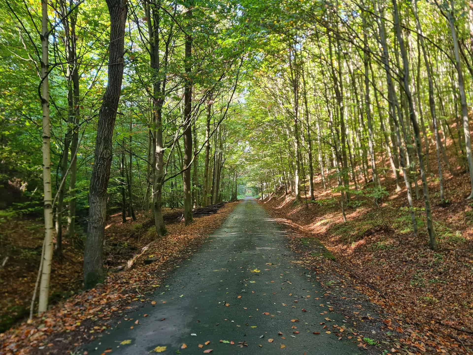 jzWnZZLvM1K8M-kvhIhiF8-LXNC6qTkKsfNVIwcSZ40-2048x1536