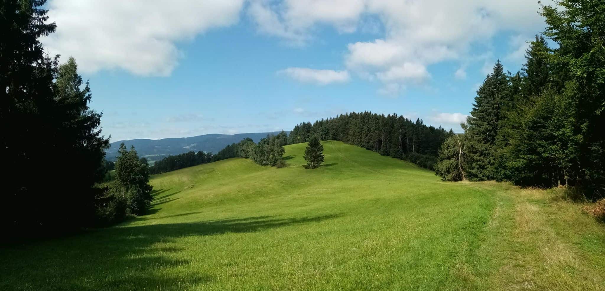 louka nad ostružnou