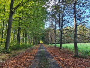 ql-CtuS0A7p4p40ry0H6qknV8h9mps9ojCYsHYiwQb0-2048x1536