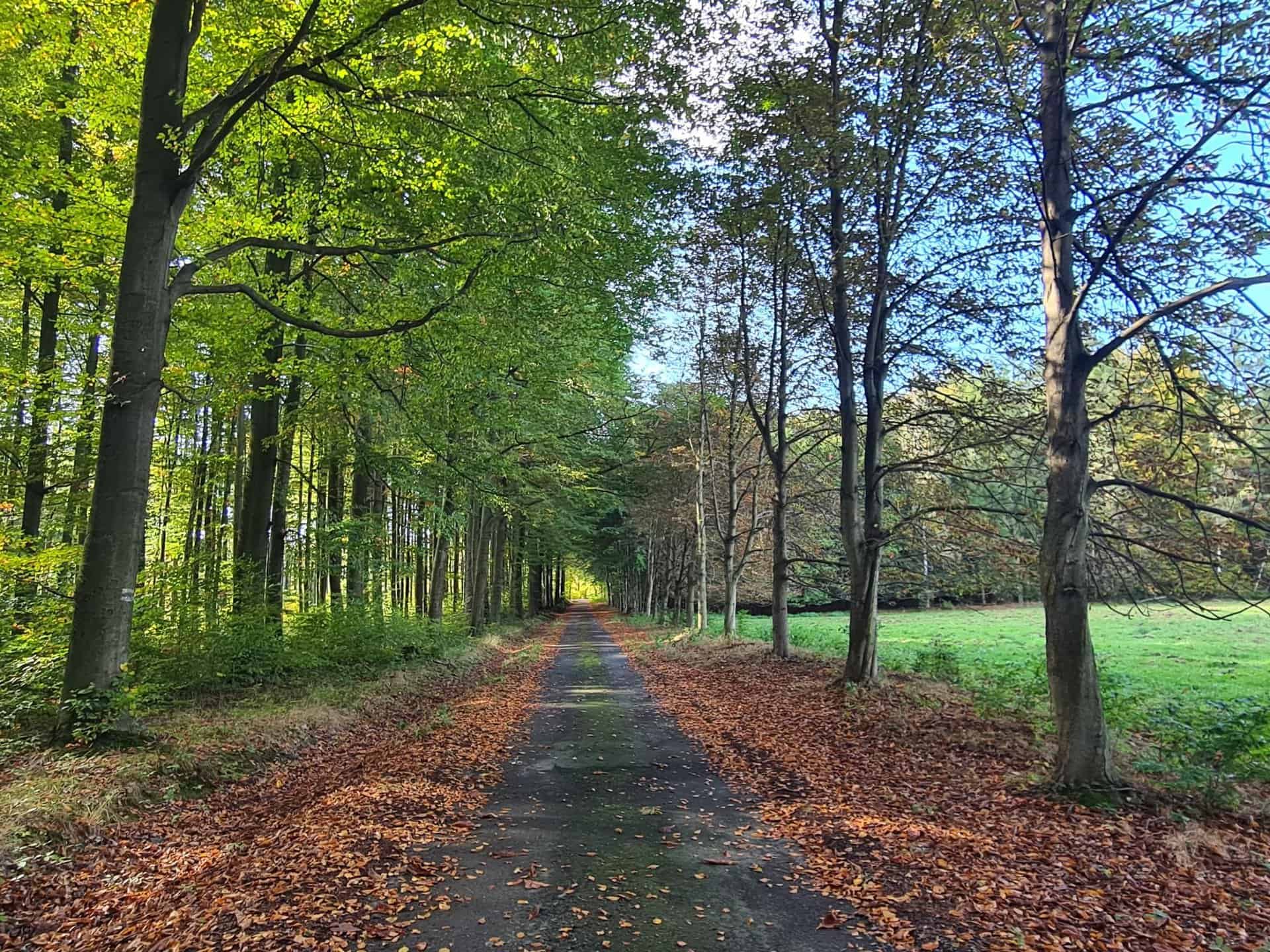 ql-CtuS0A7p4p40ry0H6qknV8h9mps9ojCYsHYiwQb0-2048x1536