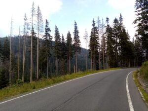 stoupání na praděd