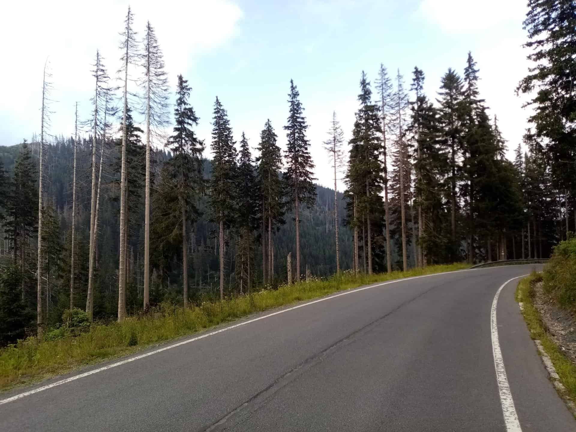 stoupání na praděd